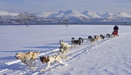 历史|仿古冰嬉表演,清朝四大国俗之一