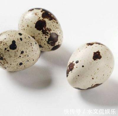 鵪鶉蛋|鵪鶉蛋也是珍貴的“藥材”，堅(jiān)持長期吃，不比燕窩差