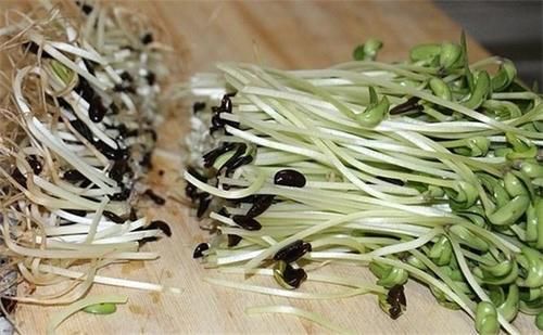 女性不愿老太快，要經常吃三種食物，美容養生、好處多多