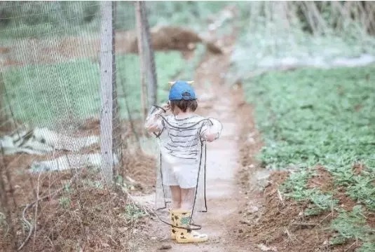 孩子|我见过最弱的父母,是冲孩子“发脾气,讲道理”,真正的高招在此