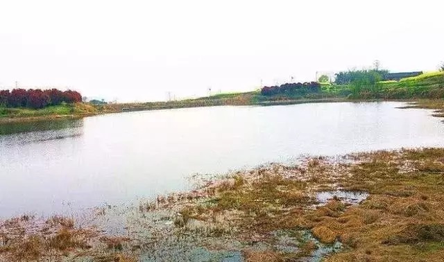 二月刚到，老钓鱼人就用这春钓秘诀，百试百灵，不想连竿都不行