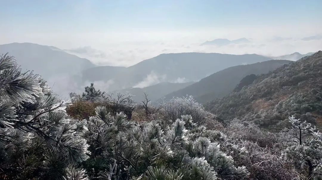 奇景|奇景！一起走进1929米的“冰雪奇缘”！