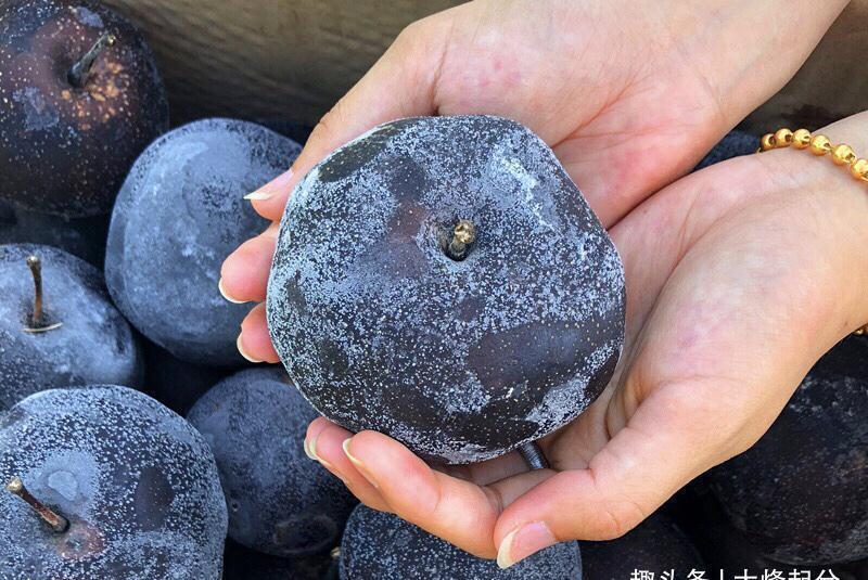 砂糖橘|冬季,有6种“时令水果”放开吃,应季新鲜维C多,走俏市场正便宜