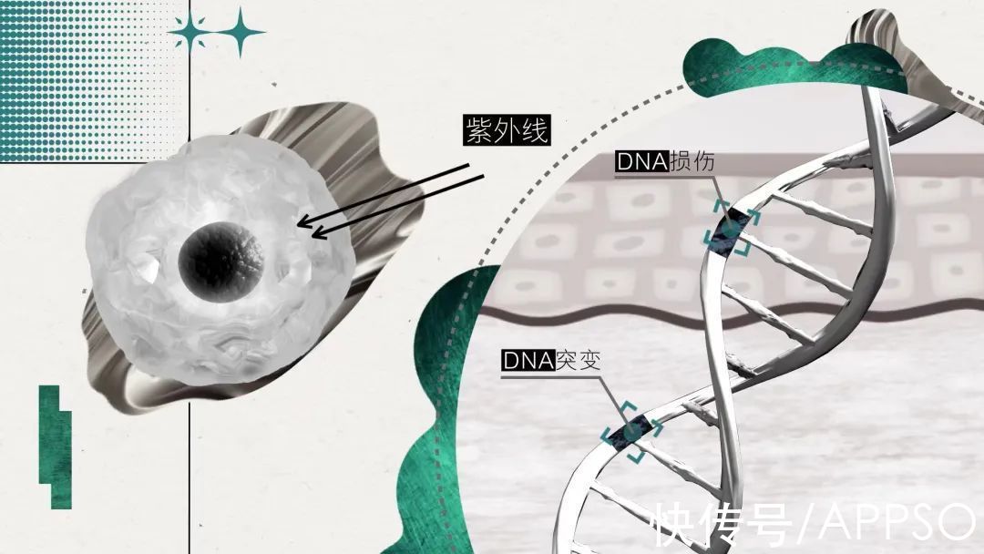 太阳|用尽全部能量后，太阳会熄灭还是爆炸？