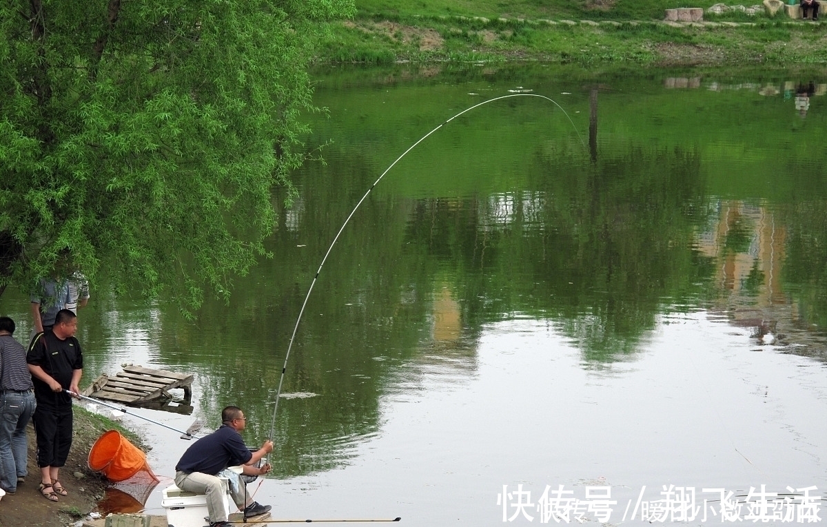 对于夏天漂浮的鲫鱼，很多人都无能为力；这三个举措已经反复尝试
