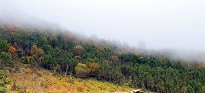 两人|“有钱不进三地，没钱莫进两人”，牢记老祖宗的忠告，受益无穷