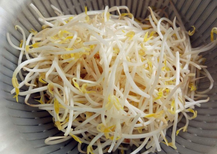 豆芽|怕胖多吃它,一把2块钱,两三天吃一次,清肠刮油,肚子没赘肉