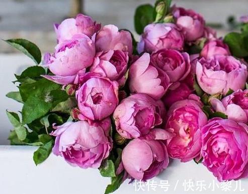 桃花|生肖马:3月桃花旺盛,财运升温,福气进家门,事事顺意!