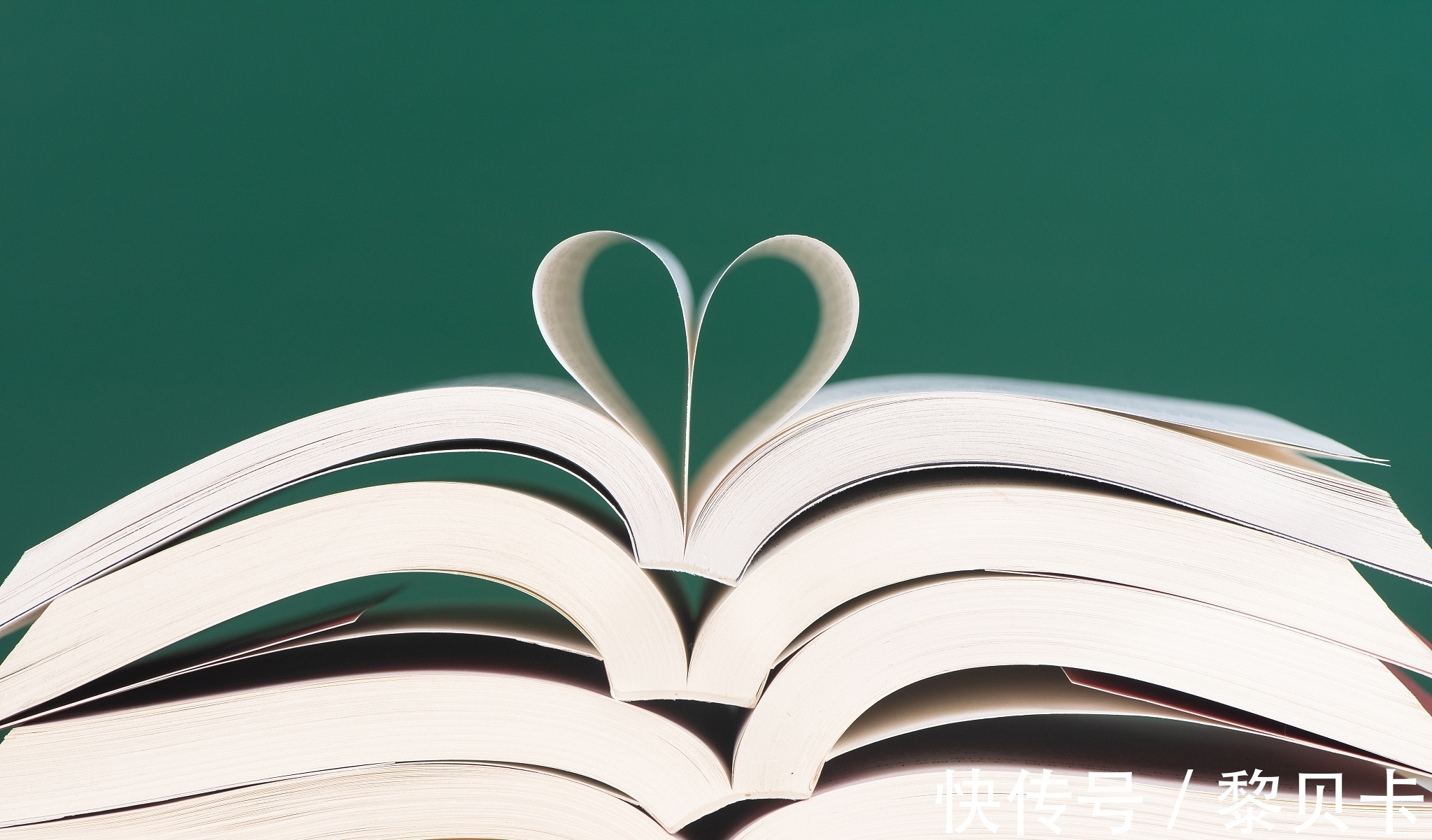 中国文化#《骆驼祥子》为何被外国读者喜爱——中国现代文学的外国接受