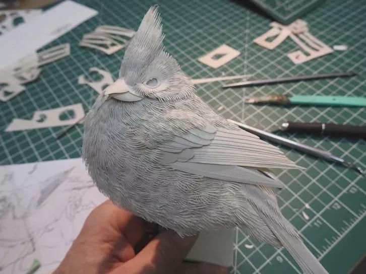 作品|意大利艺术家 Calvin Nicholls 纸雕作品