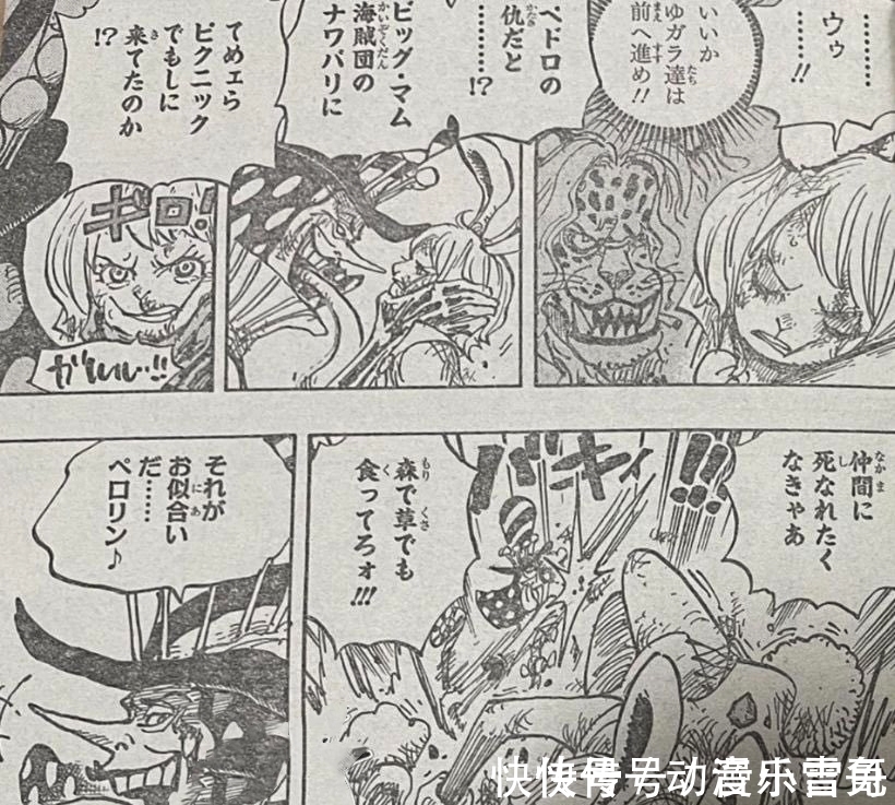 豹五郎|海贼王1006话:小马哥被烬斩落翅膀,豹五郎释放“生命归还”