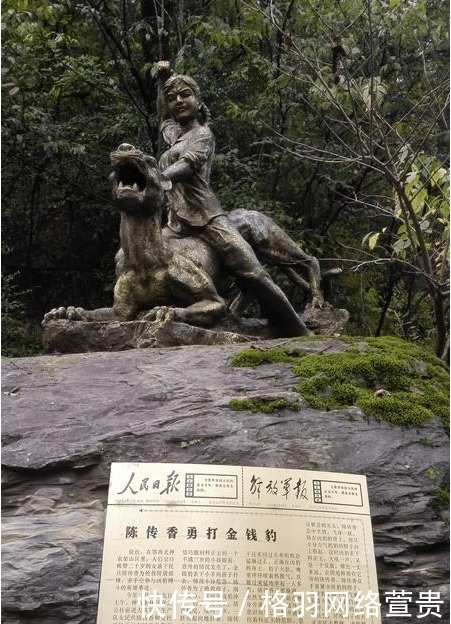 真的|武松打虎是真的吗?历史上有没有人打死过老虎?