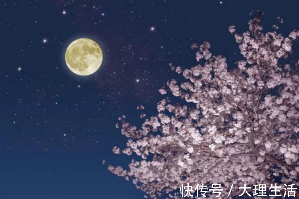 柳庭风&苏轼闲来无事写的调皮情词,看似是文字游戏,仔细读别有一番趣味