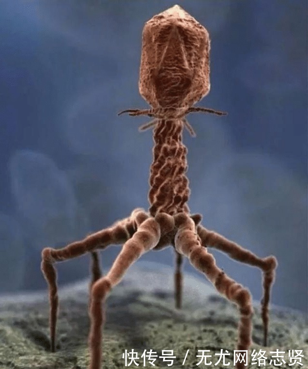 令人 22张“活久见”的照片,令人大开眼界!