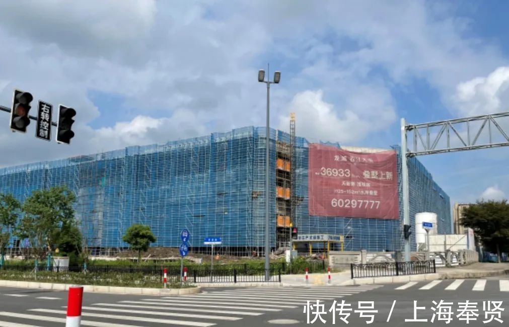 配套|一次性说清楚!金汇镇功能配套项目,时间点都在这了
