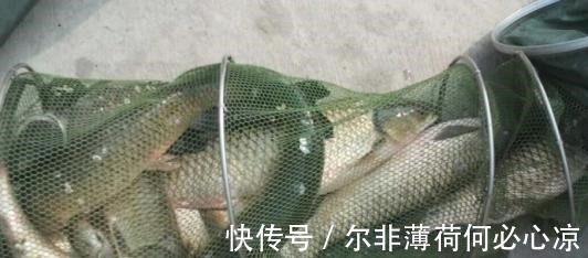 夜钓最好的机会来了！18条经验助你成功爆护！