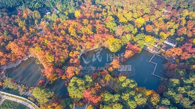 天平山|江苏苏州：天平山“枫”景如画