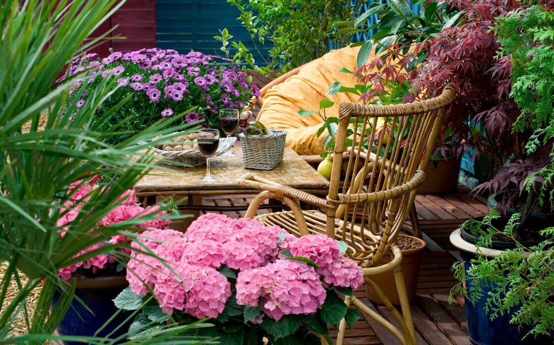 为了一盆花,家人关系彻底破裂,花有什么错