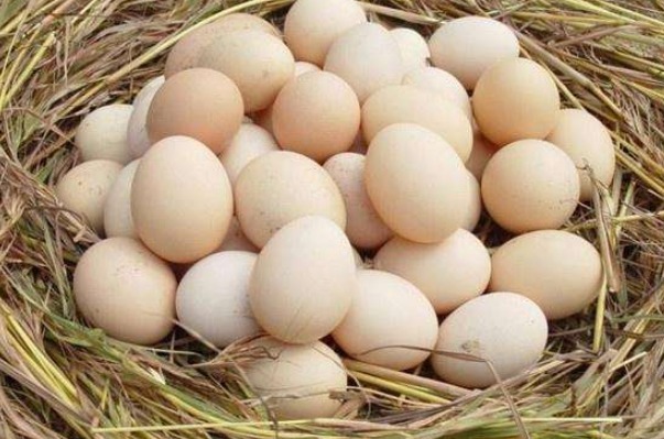 吃法|早餐4种鸡蛋的错误吃法,许多孩子一直错着吃,为了孩子早点纠正