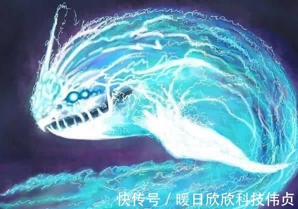 进化|斗罗大陆前3名的魂骨,百万年深海魔鲸王垫底,排名第2的重伤过神兽帝天!