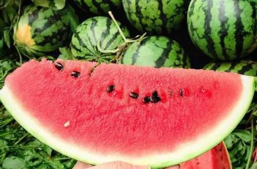 吃不完的西瓜不要放冰箱，瓜农教你此种做法，放2天也不会坏