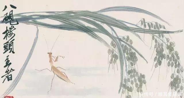 把齐白石的草虫放大,这不是照片,这是白石老人的工笔草虫!