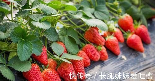 猕猴桃|女性担心自己老太快,要坚持吃3种食物,美容养颜、改善体质!