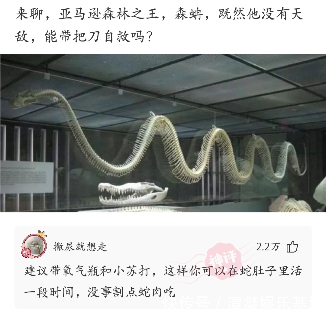 |神段子:全球每天消费上百亿个二维码,用完了以后怎么办?回答乐死