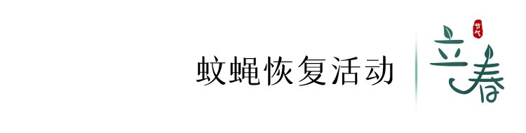 望春|今日，立春