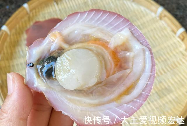 芦笋|入秋后,给孩子多吃这种海鲜,好吃不贵营养充足,孩子爱吃不挑食