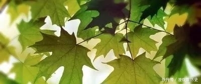 无眠|谢慧兰/昨夜无眠