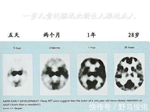 小宝宝|宝宝智商高不高，看6岁前有没有四个特征？中一条恭喜家长！