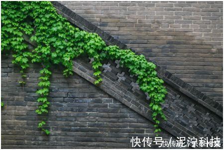 禅师@宋代高僧,一首28字禅诗,道破人生真谛,李嘉诚将其视为座右铭