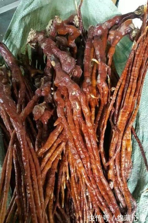 鹿茸|这东西,人称“鹿角灵芝”,曾是皇帝贡品,如今价格亲民,认识下