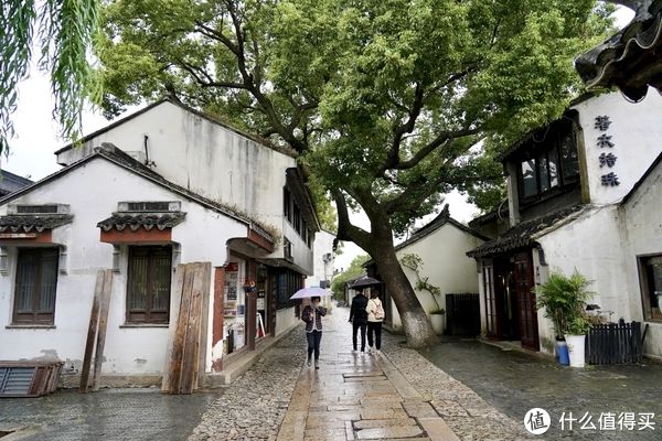 忠王府|大好河山 篇二：苏州！夜宿平江探花府 漫步狮子林/拙政园/博物馆