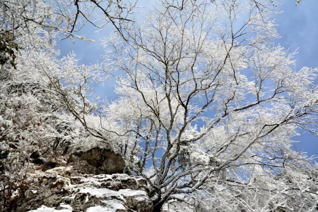 县区|初雪！周边县区雪景美图来袭！