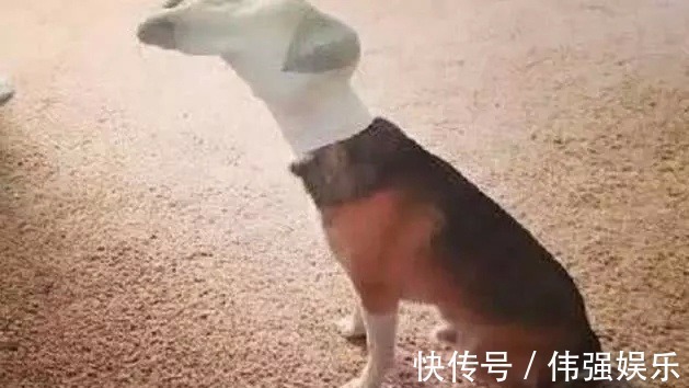 宝爸|熊孩子突然变得安静,爸妈打开房门后眼泪落下,不自觉的挽起袖子