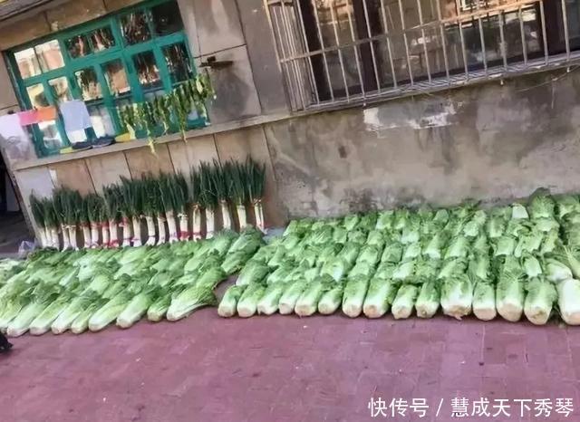 东北|当东北人开始囤菜,阵仗可以有多大南方人场面堪比部队站军姿