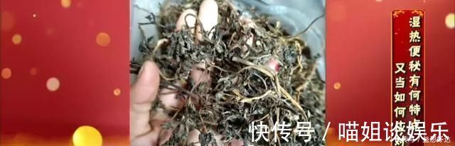 抗菌|救命的马齿苋,99的人不知道的作用再不吃就晚了