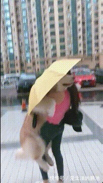 |搞笑GIF:妹子,你是个有才华的人,就是太贪玩了!