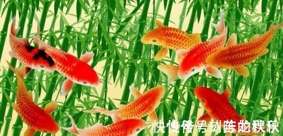 生肖狗|喜鹊叫个不停,这3大生肖运势大开,福旺财旺,好事情一连串!