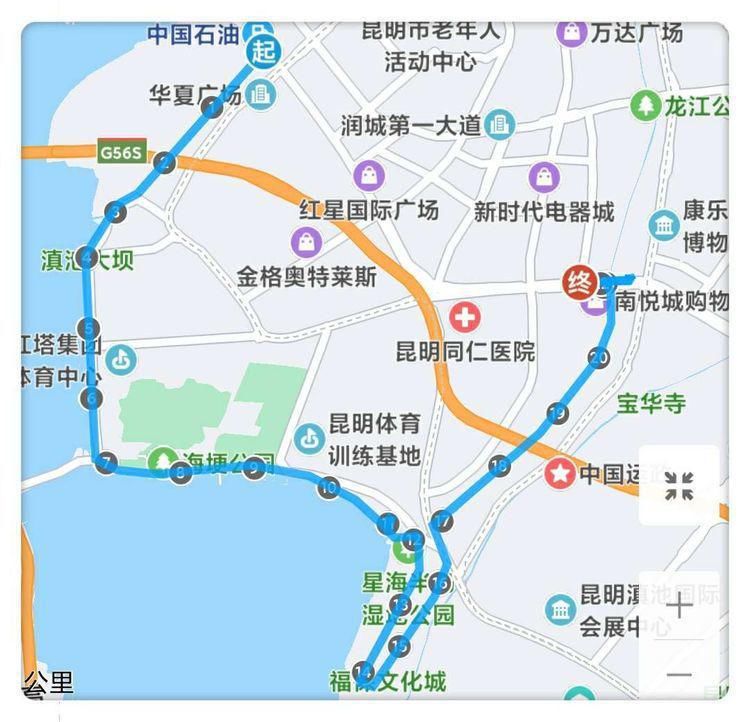 船房河走到滇池边，冬日赏海鸥、走湿地，惬意