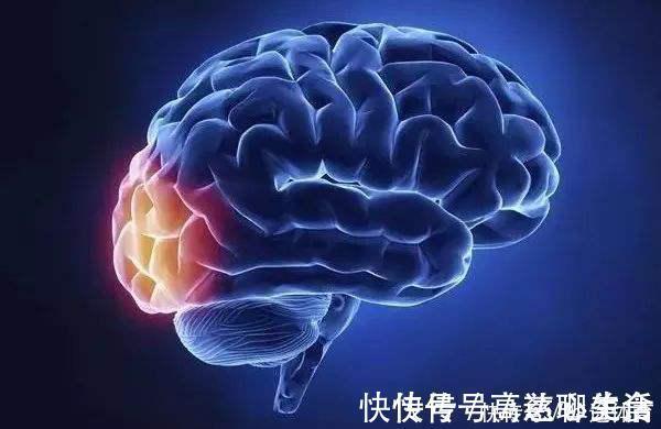 萃枫苷|想长寿要先会吃，3种食物没事吃点，补充营养，身体棒棒哒！