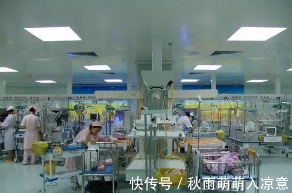 副交感神经|为啥产房都是一波女宝一波男宝?是不是迷信,来听听医生的剖析