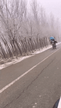 |搞笑GIF:今天周六 带女朋友去海边看看海