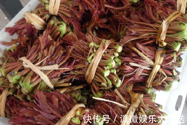 慢性疾病|女性想变美,吃此菜就对了,防脱发、养子宫、润皮肤,胃口也好了