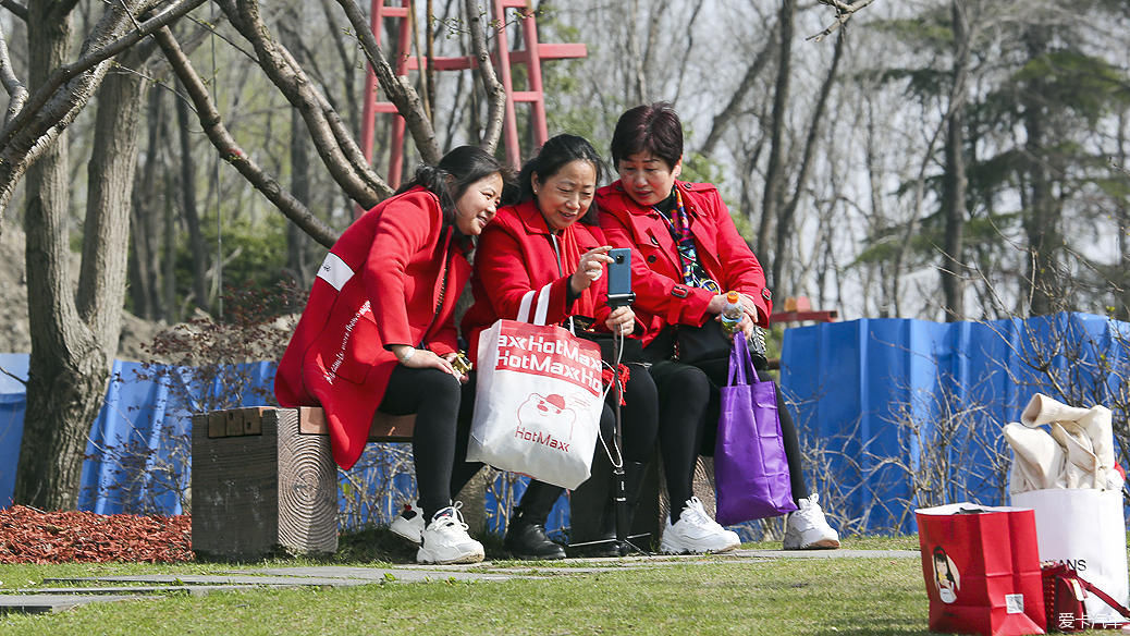 樱满枝头花争艳，顾村公园踏青赏花