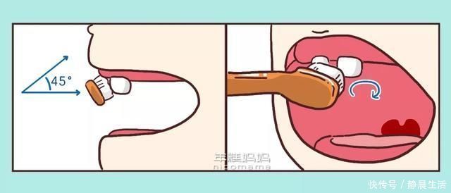 答案|电动牙刷伤牙龈？儿童牙刷越软越好？答案跟你想得不一样