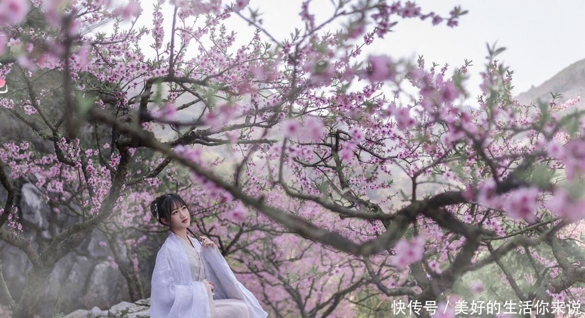 辞官|李白最经典的一首词,短短28字,道尽友情的真谛,传为千古佳话