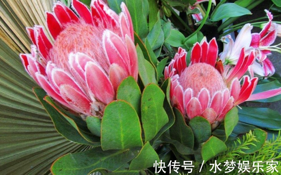 婚得|老祖宗说“一家不容三姓人”,分别是哪“三姓”,结了婚得看看